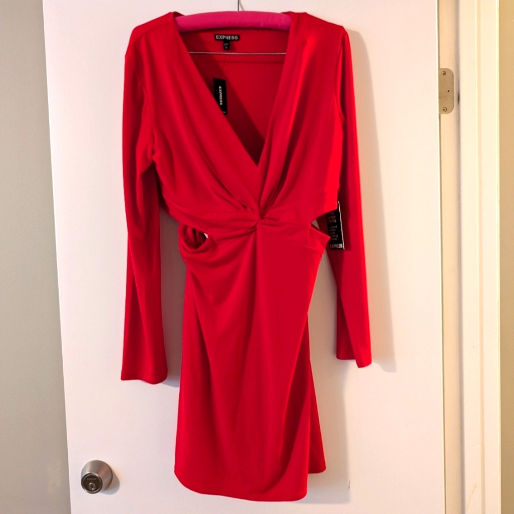 NWT Sexy Cutout dress